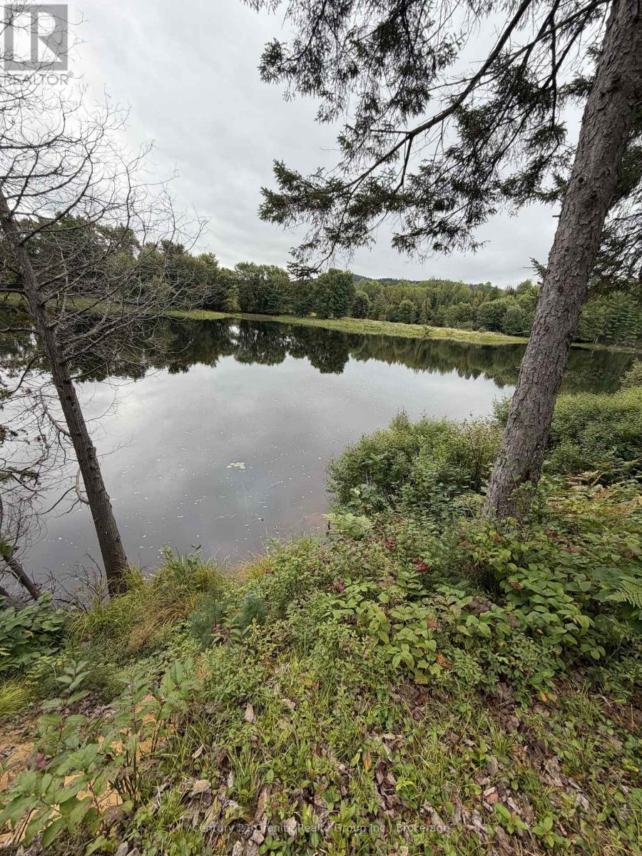 000 Evergreen Lane, Brudenell, Ontario  K0J 2E0 - Photo 7 - X13761162