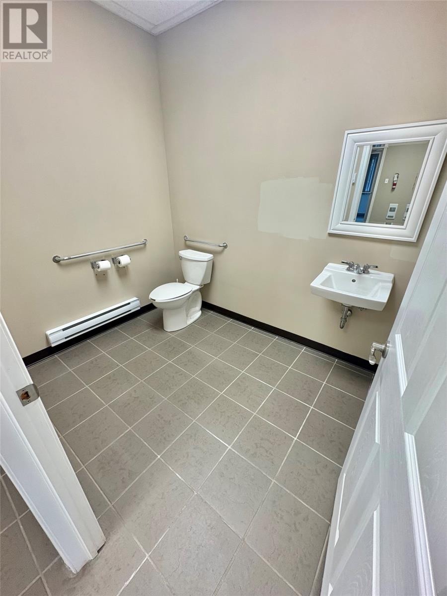 6 Dominic Street, Bishop's Falls — photo 19