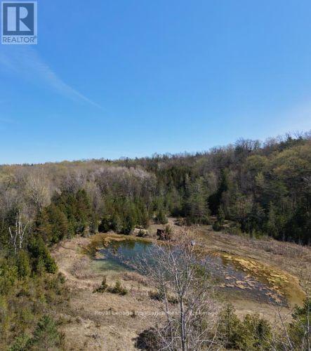 305 Valley Road, Prince Edward County, Ontario  K0K 1A0 - Photo 47 - X13760852