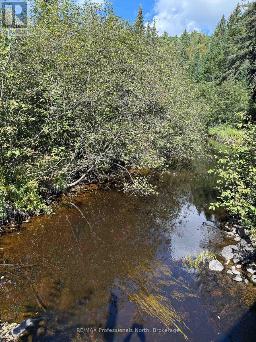 83 Ceramic Mine Road North Road, Huntsville, Ontario  P1H 2J3 - Photo 31 - X13755982