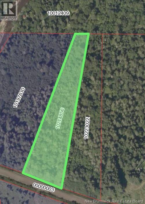 N/a Howard Brook Road, Howard Brook, New Brunswick  E7P 2B3 - Photo 4 - NB146798