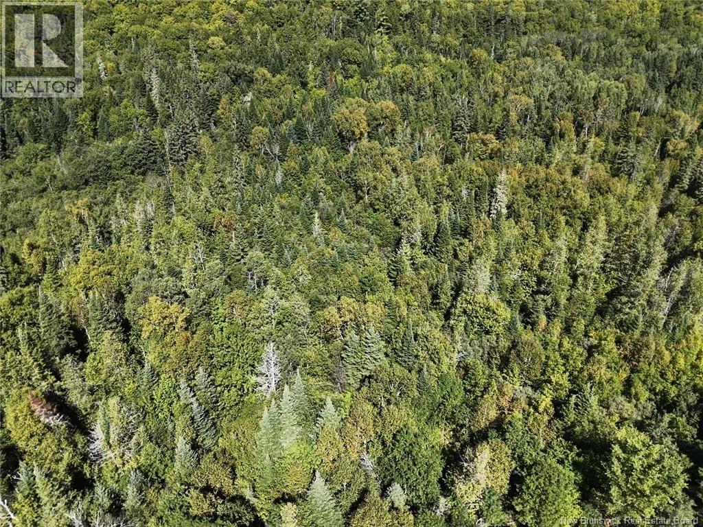 N/a Howard Brook Road, Howard Brook, New Brunswick  E7P 2B3 - Photo 5 - NB146798