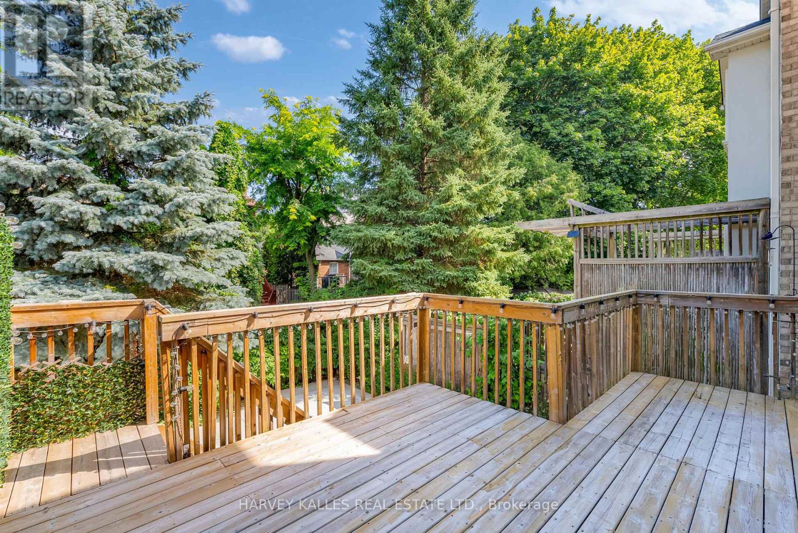 168 Roe Avenue, Toronto, Ontario  M5M 2J2 - Photo 27 - C13761500