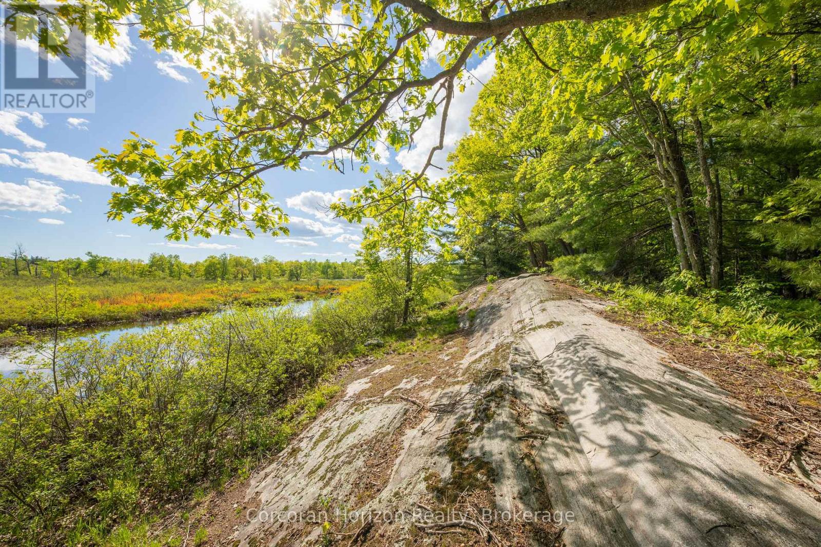 1020 Ridge Road, Muskoka Lakes, Ontario  P0C 1M0 - Photo 10 - X13761338