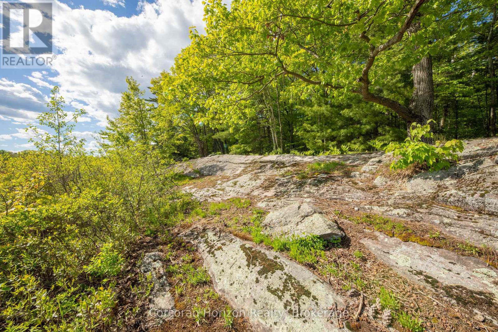 1020 Ridge Road, Muskoka Lakes, Ontario  P0C 1M0 - Photo 11 - X13761338