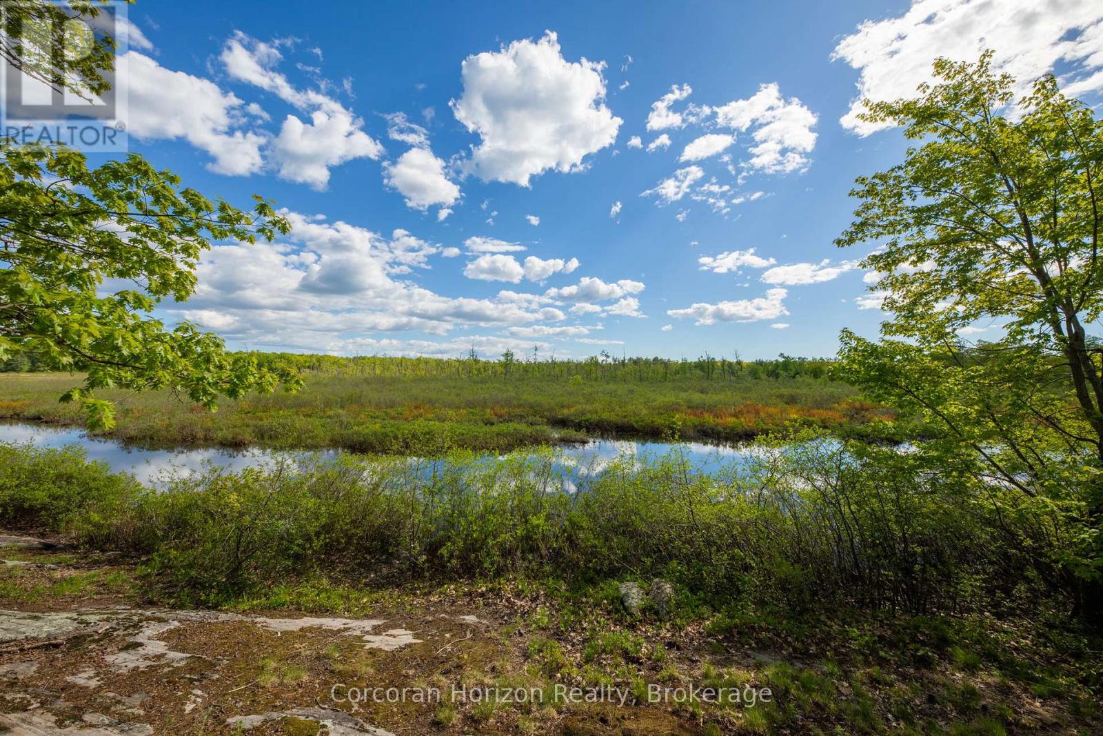 1020 Ridge Road, Muskoka Lakes, Ontario  P0C 1M0 - Photo 12 - X13761338