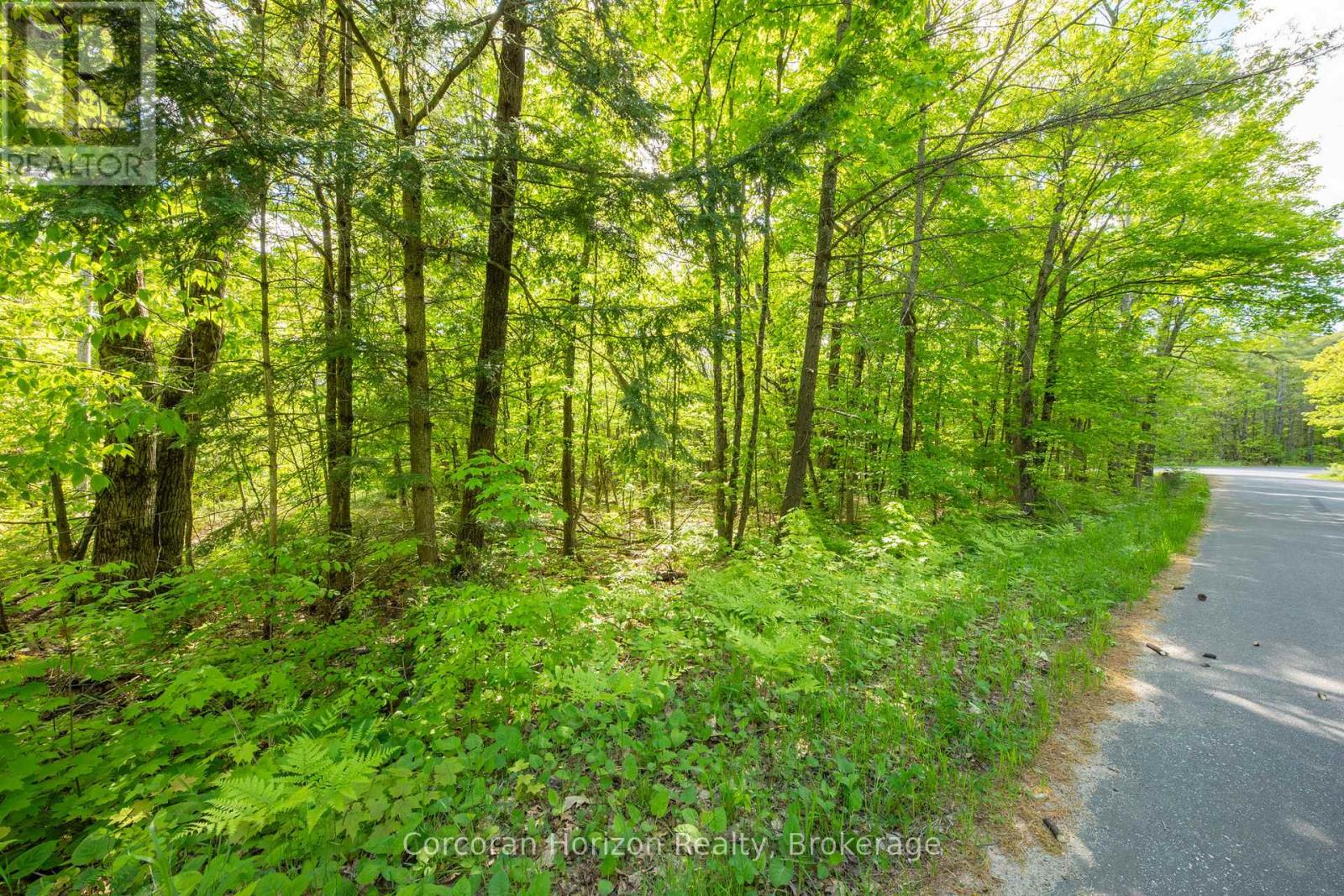 1020 Ridge Road, Muskoka Lakes, Ontario  P0C 1M0 - Photo 15 - X13761338