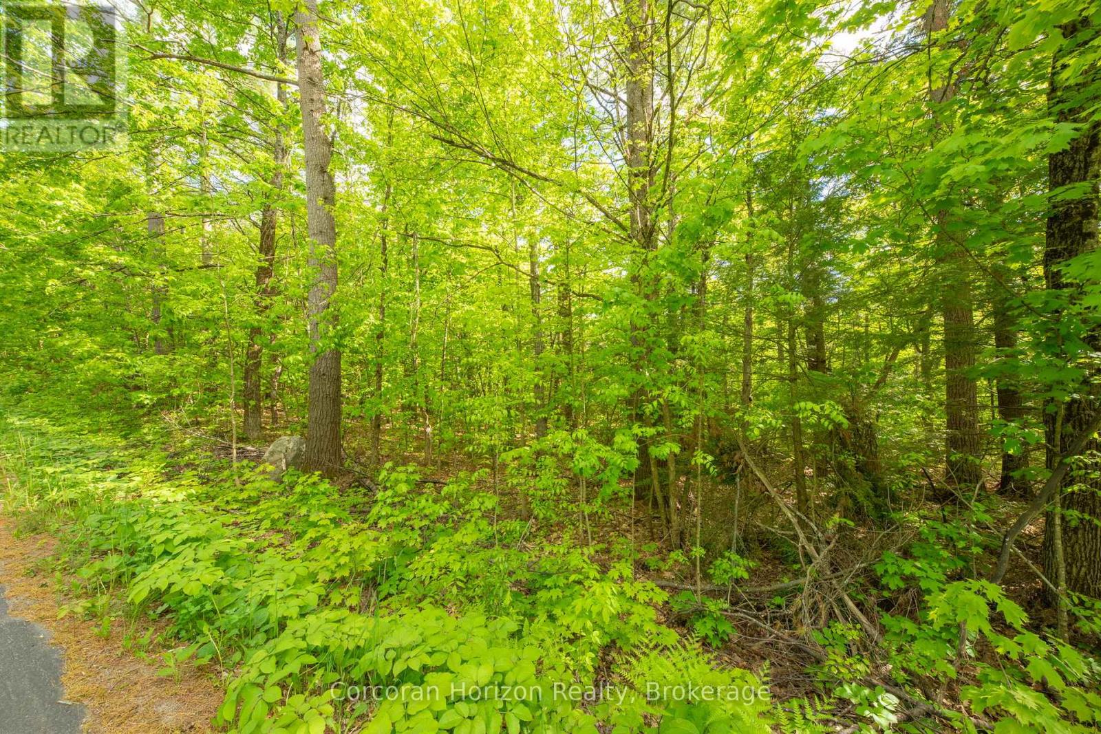 1020 Ridge Road, Muskoka Lakes, Ontario  P0C 1M0 - Photo 16 - X13761338