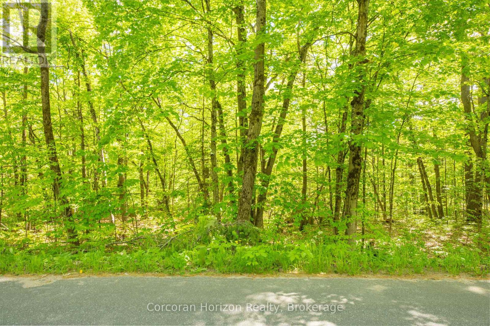 1020 Ridge Road, Muskoka Lakes, Ontario  P0C 1M0 - Photo 17 - X13761338
