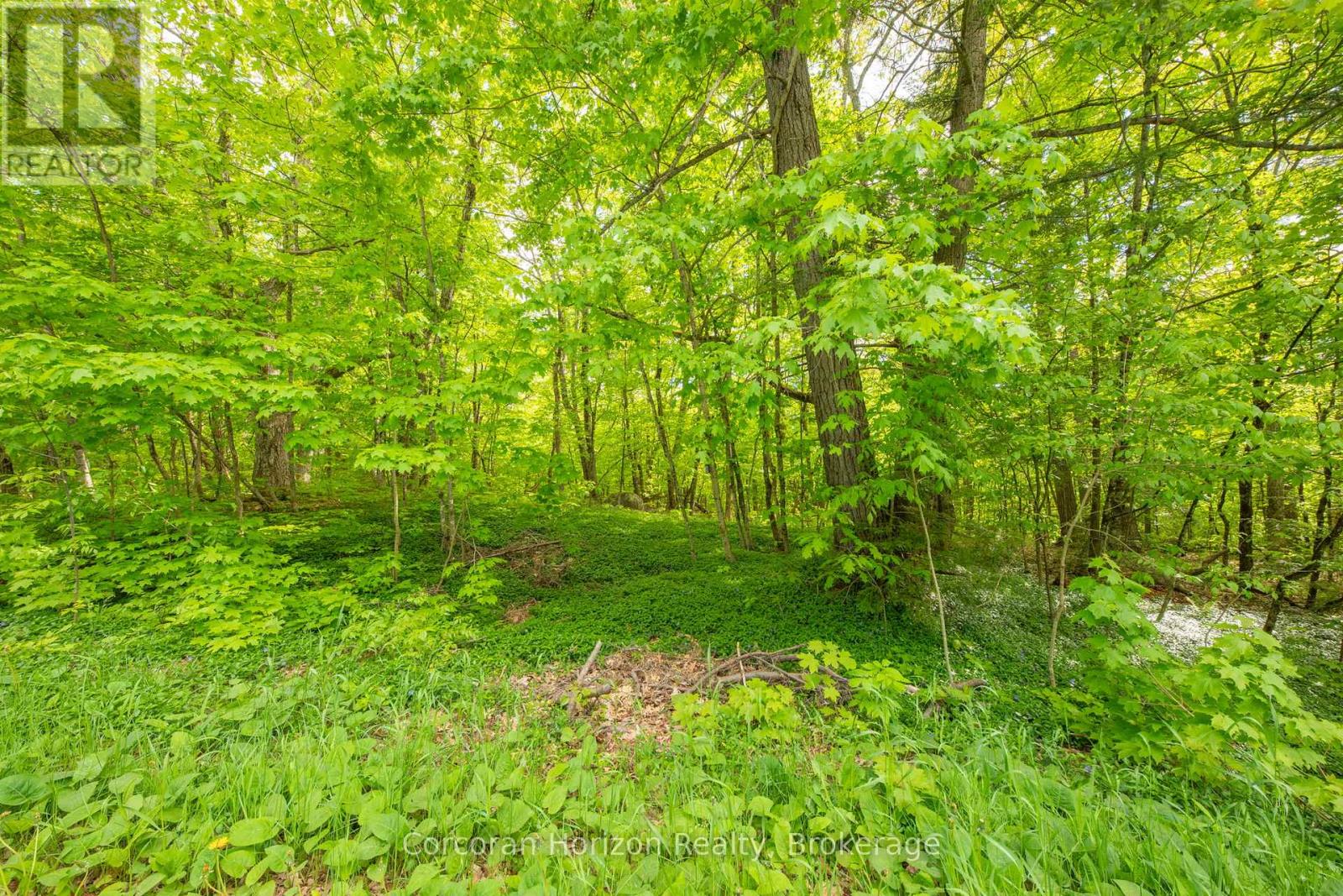 1020 Ridge Road, Muskoka Lakes, Ontario  P0C 1M0 - Photo 18 - X13761338