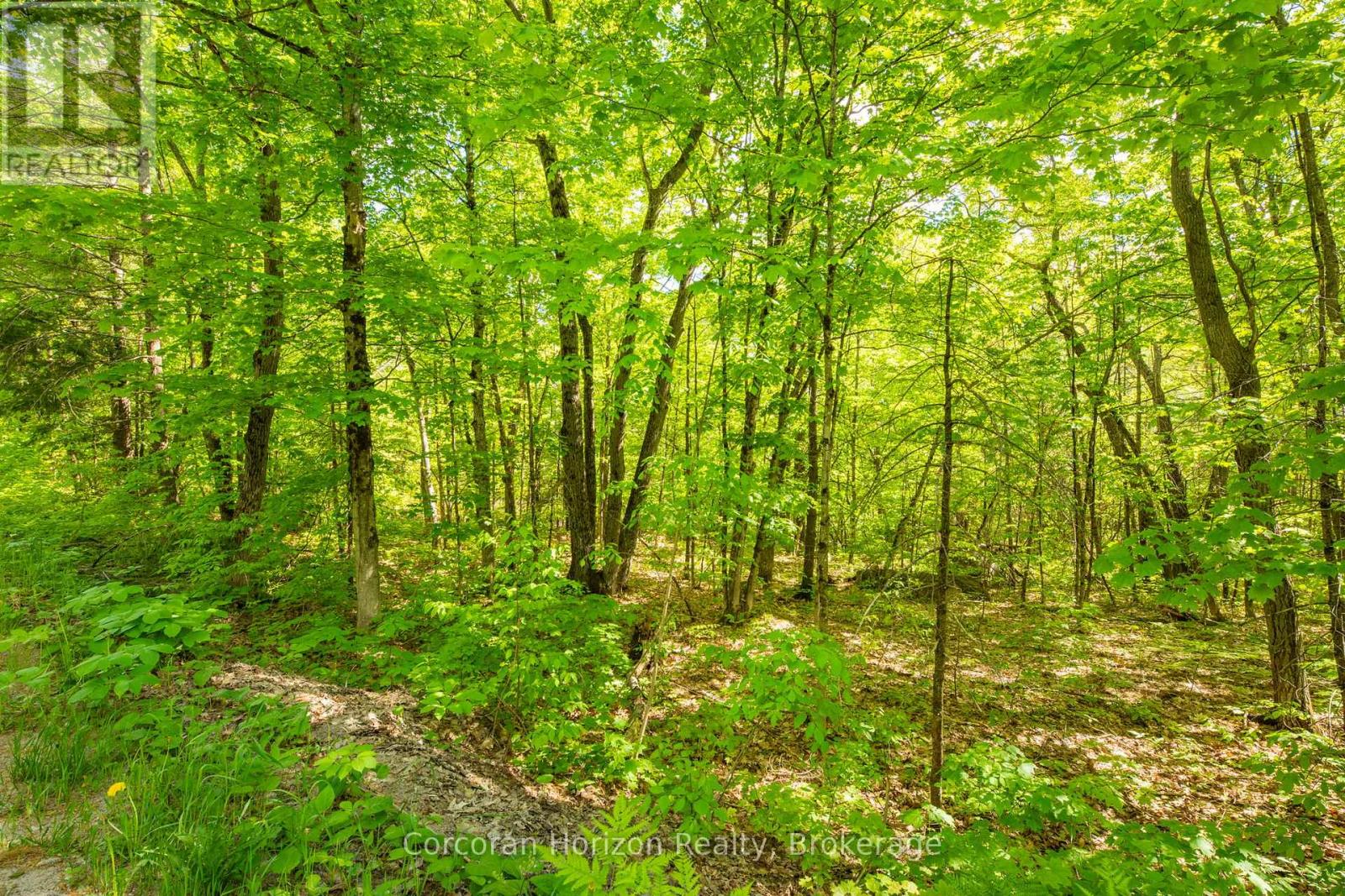 1020 Ridge Road, Muskoka Lakes, Ontario  P0C 1M0 - Photo 23 - X13761338