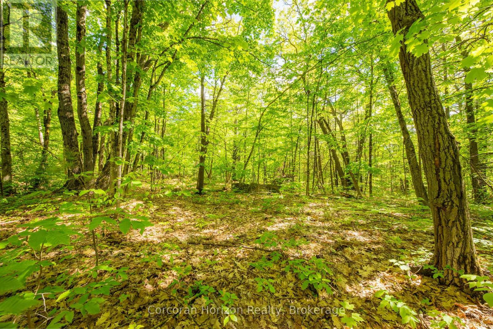 1020 Ridge Road, Muskoka Lakes, Ontario  P0C 1M0 - Photo 24 - X13761338