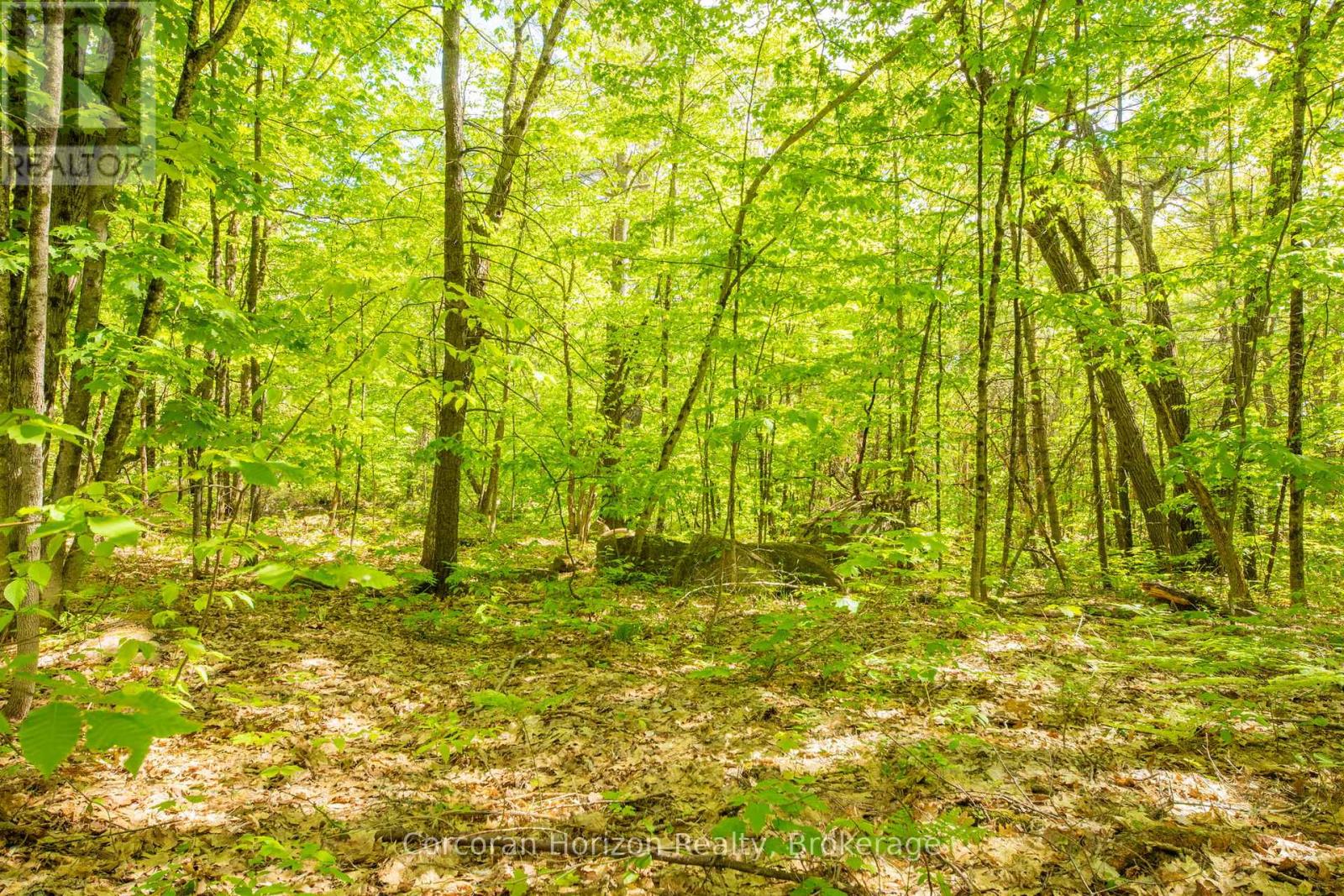 1020 Ridge Road, Muskoka Lakes, Ontario  P0C 1M0 - Photo 25 - X13761338