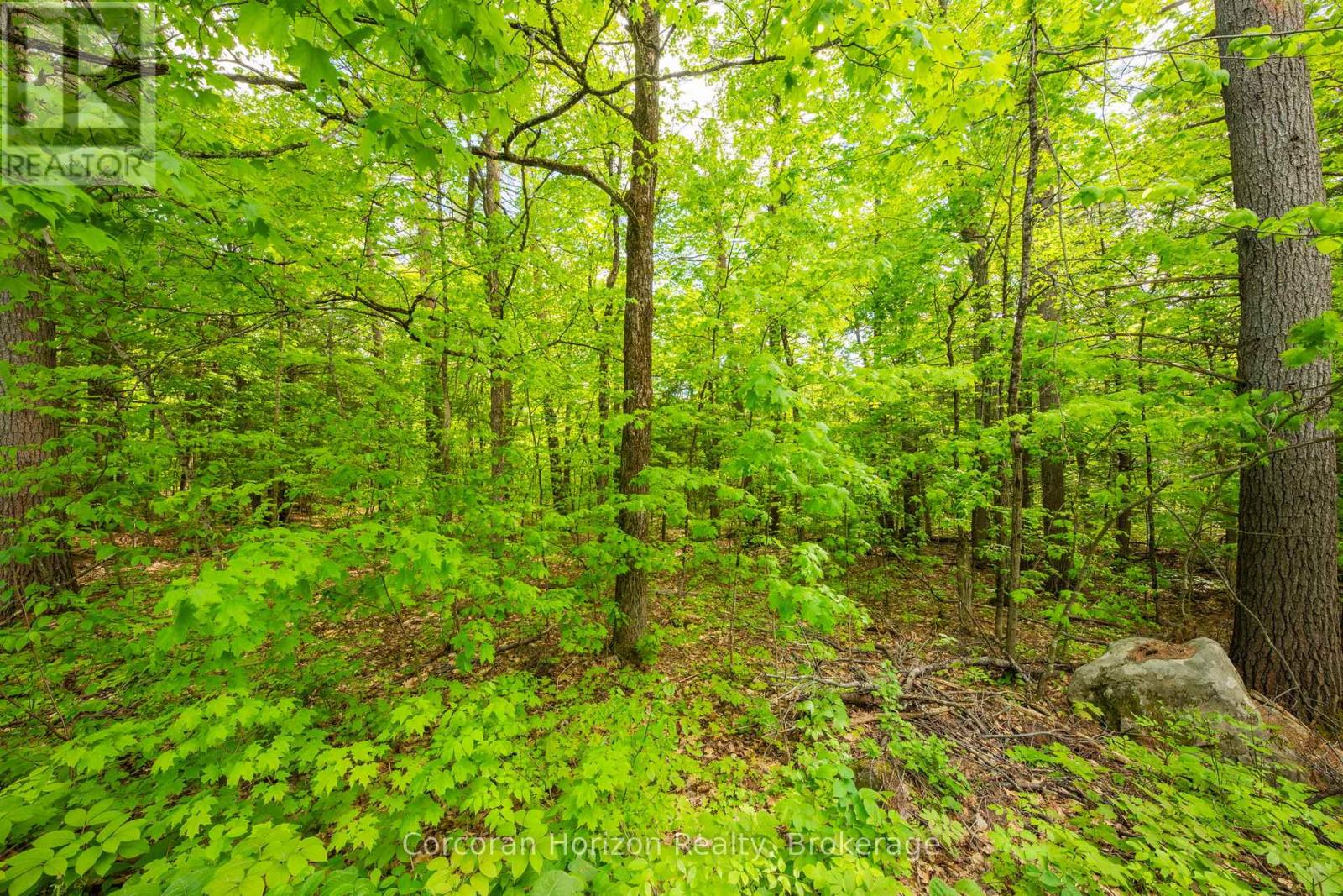 1020 Ridge Road, Muskoka Lakes, Ontario  P0C 1M0 - Photo 26 - X13761338