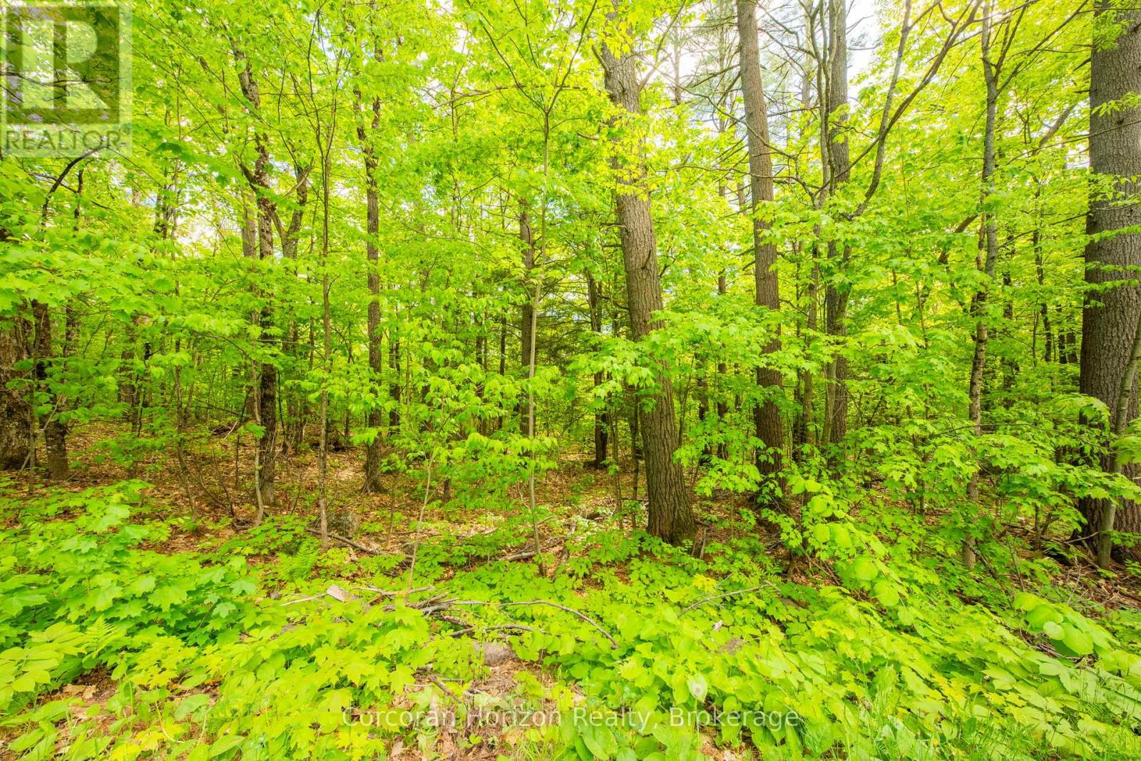 1020 Ridge Road, Muskoka Lakes, Ontario  P0C 1M0 - Photo 27 - X13761338