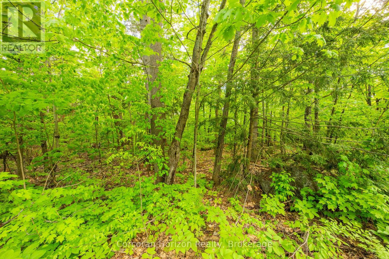 1020 Ridge Road, Muskoka Lakes, Ontario  P0C 1M0 - Photo 28 - X13761338