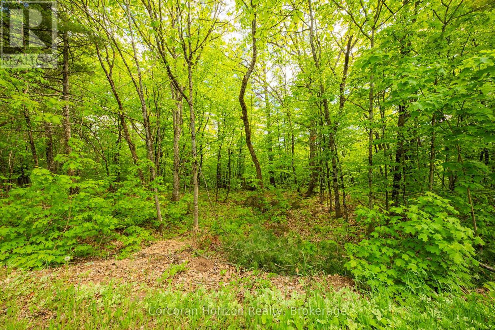 1020 Ridge Road, Muskoka Lakes, Ontario  P0C 1M0 - Photo 29 - X13761338