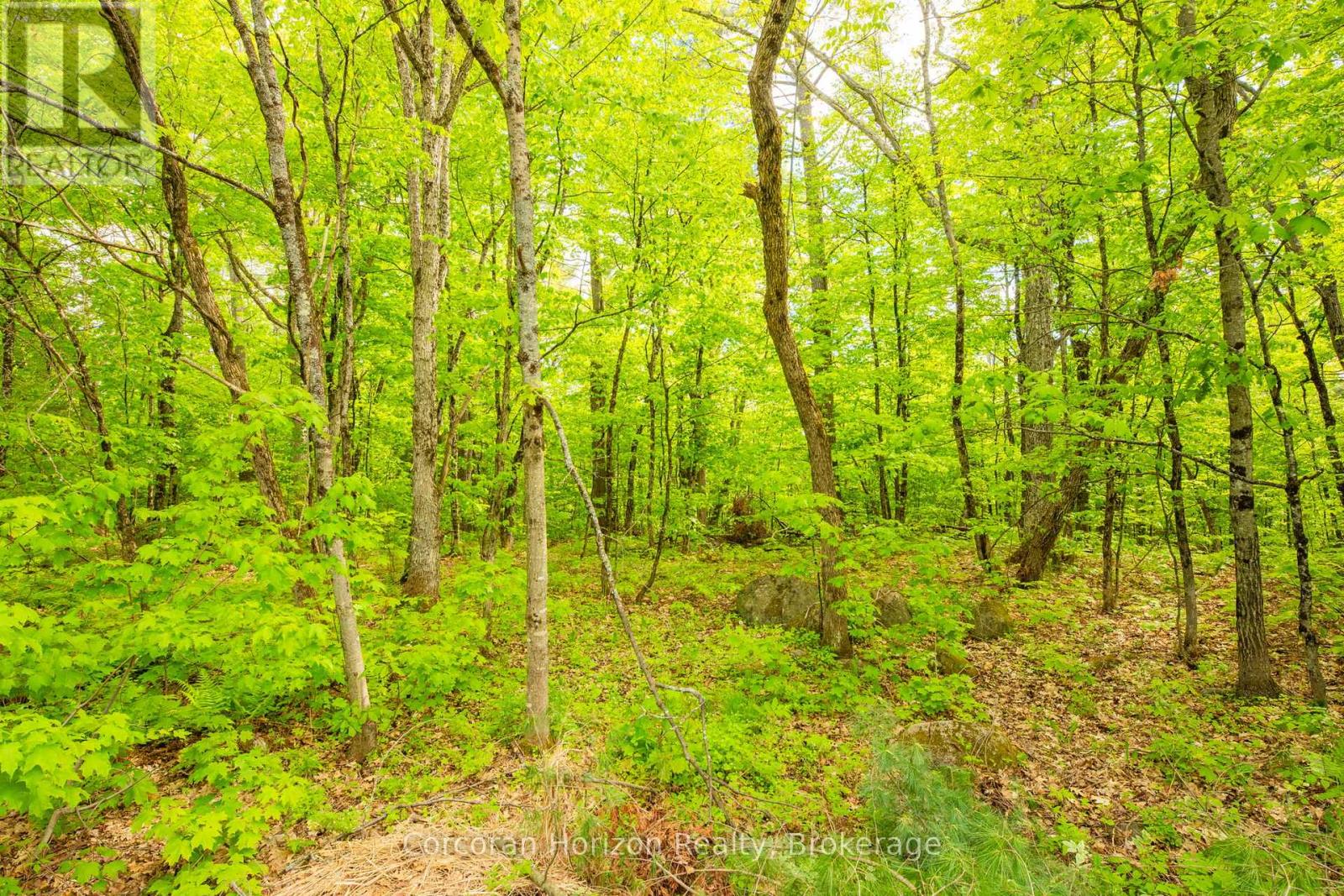 1020 Ridge Road, Muskoka Lakes, Ontario  P0C 1M0 - Photo 30 - X13761338