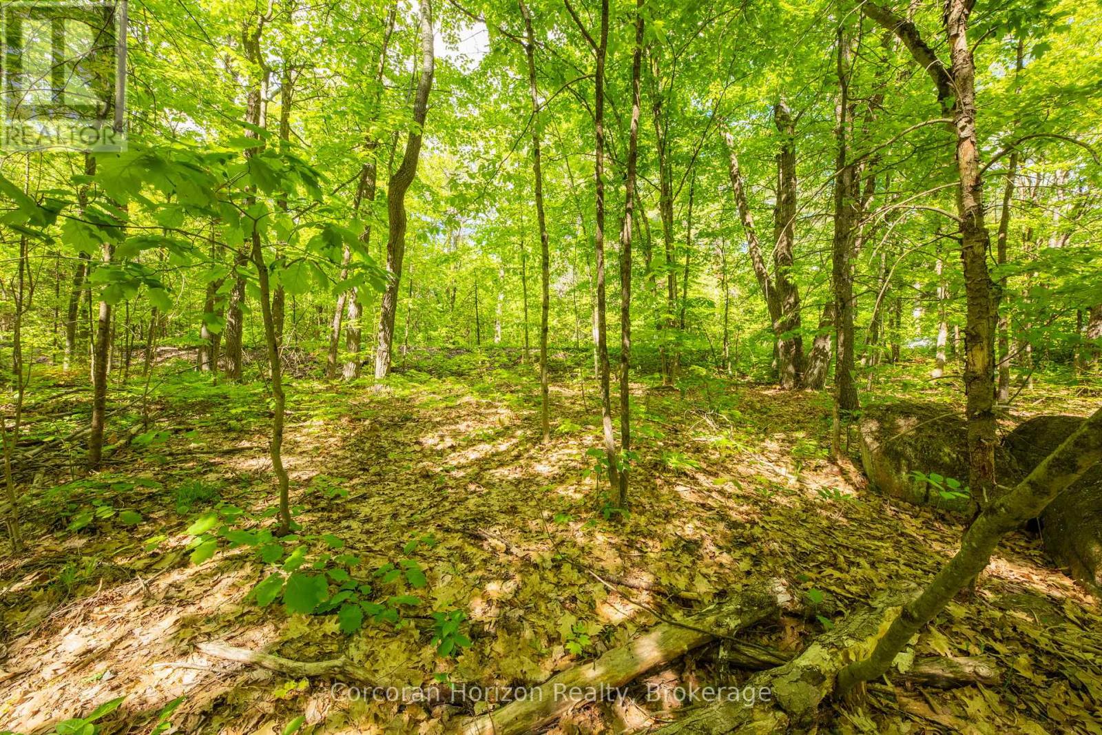 1020 Ridge Road, Muskoka Lakes, Ontario  P0C 1M0 - Photo 31 - X13761338
