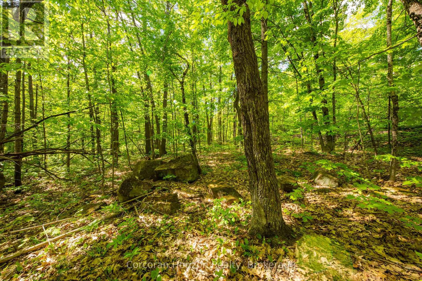 1020 Ridge Road, Muskoka Lakes, Ontario  P0C 1M0 - Photo 32 - X13761338