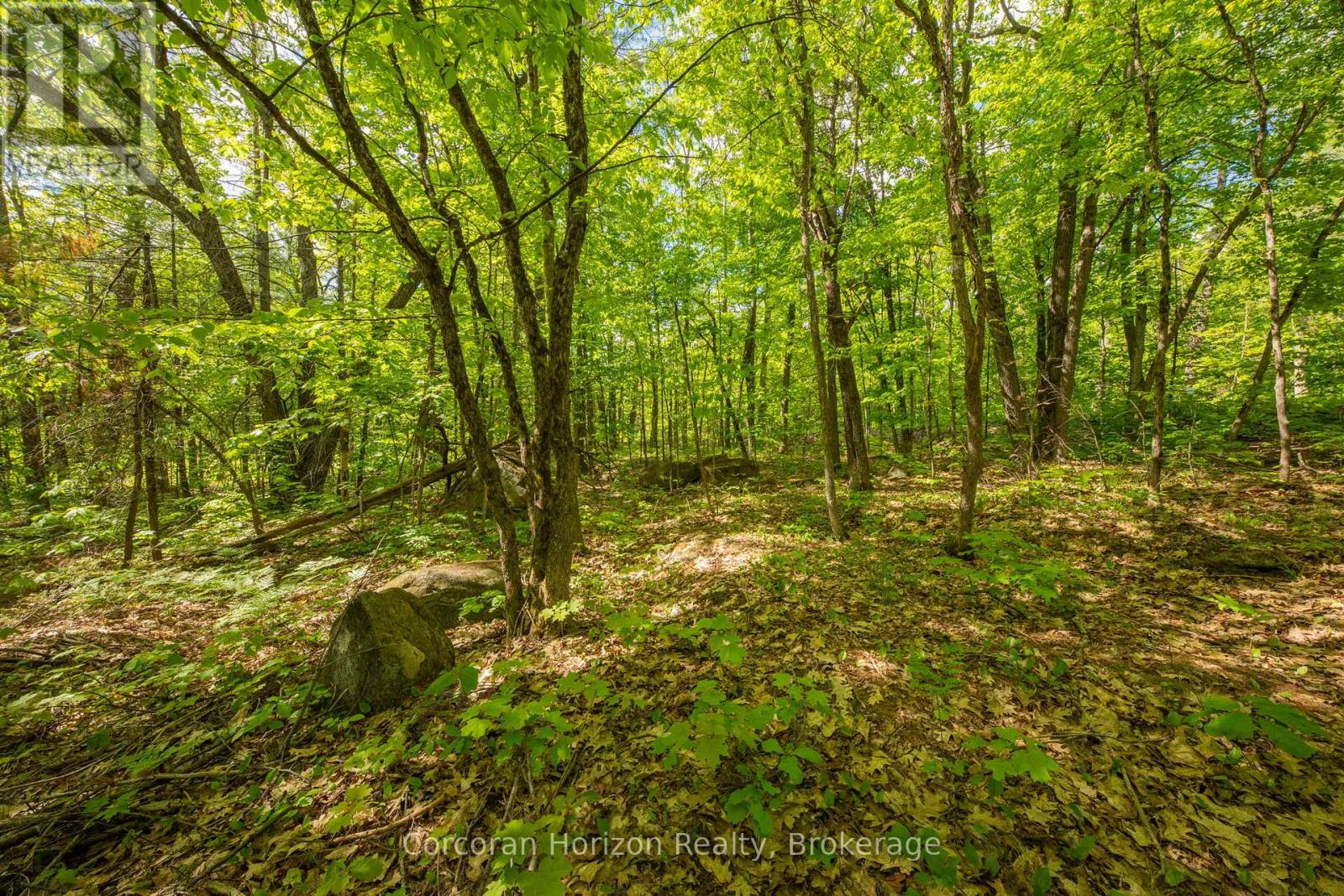 1020 Ridge Road, Muskoka Lakes, Ontario  P0C 1M0 - Photo 33 - X13761338