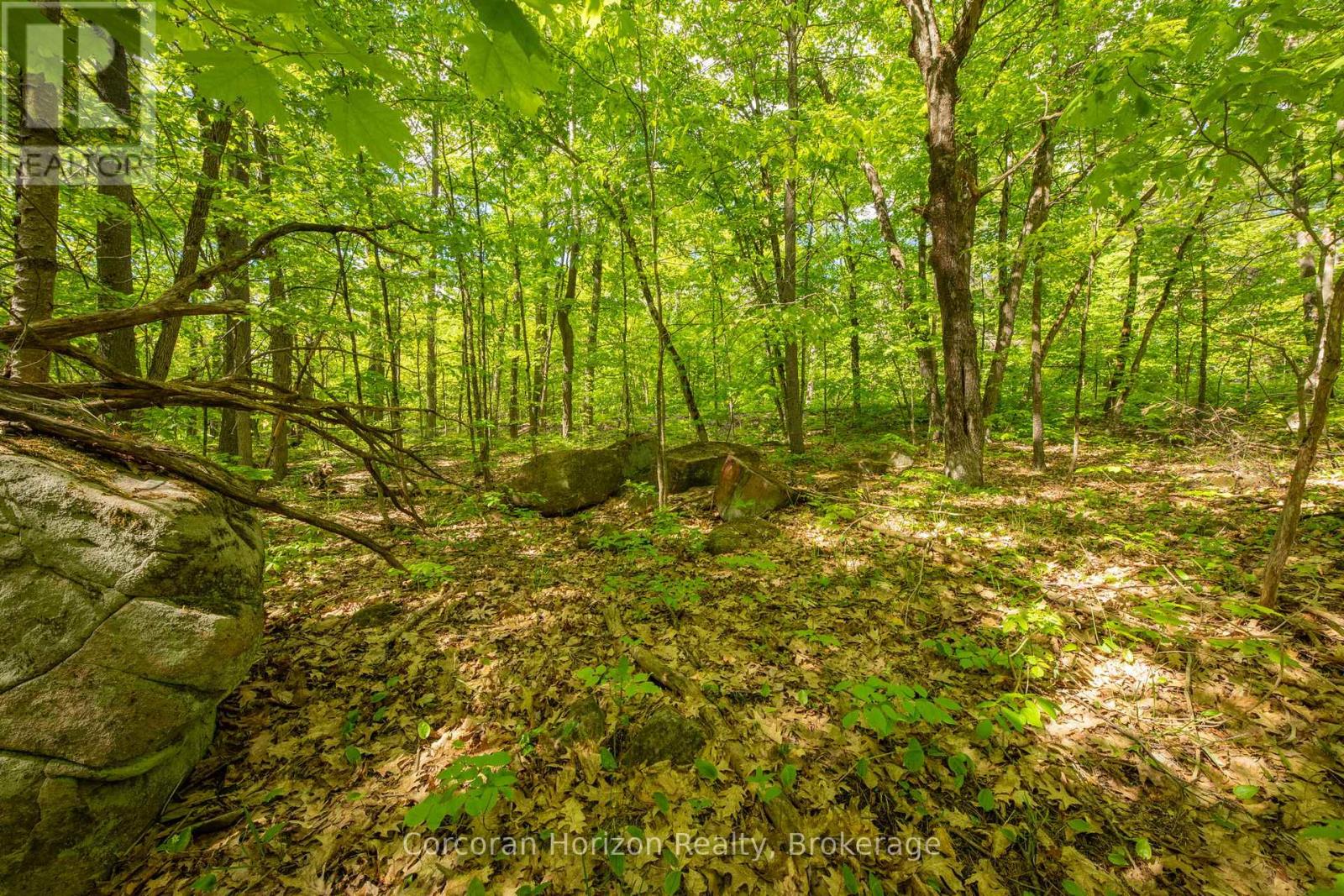 1020 Ridge Road, Muskoka Lakes, Ontario  P0C 1M0 - Photo 34 - X13761338