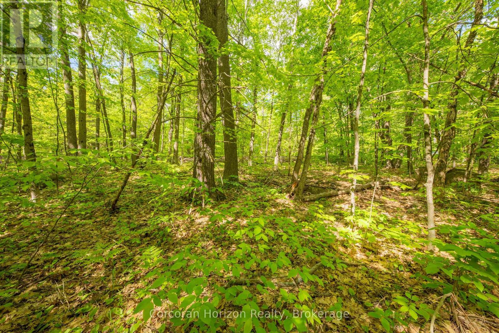 1020 Ridge Road, Muskoka Lakes, Ontario  P0C 1M0 - Photo 35 - X13761338