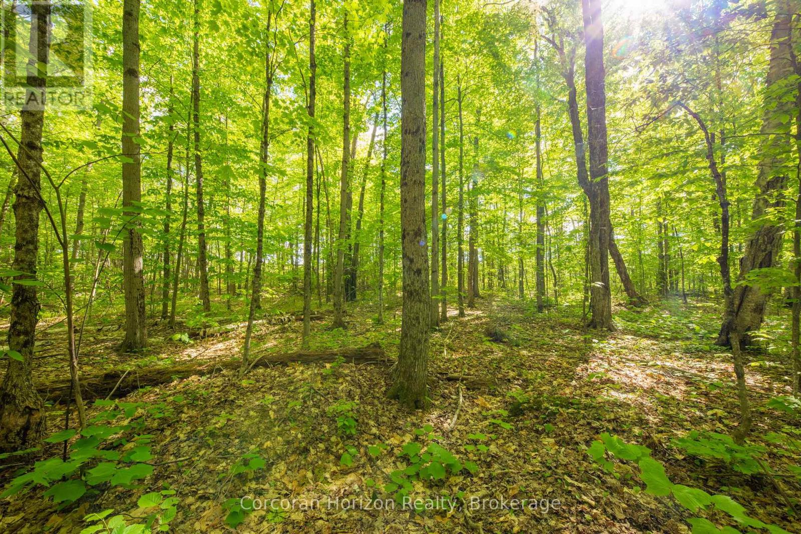 1020 Ridge Road, Muskoka Lakes, Ontario  P0C 1M0 - Photo 36 - X13761338