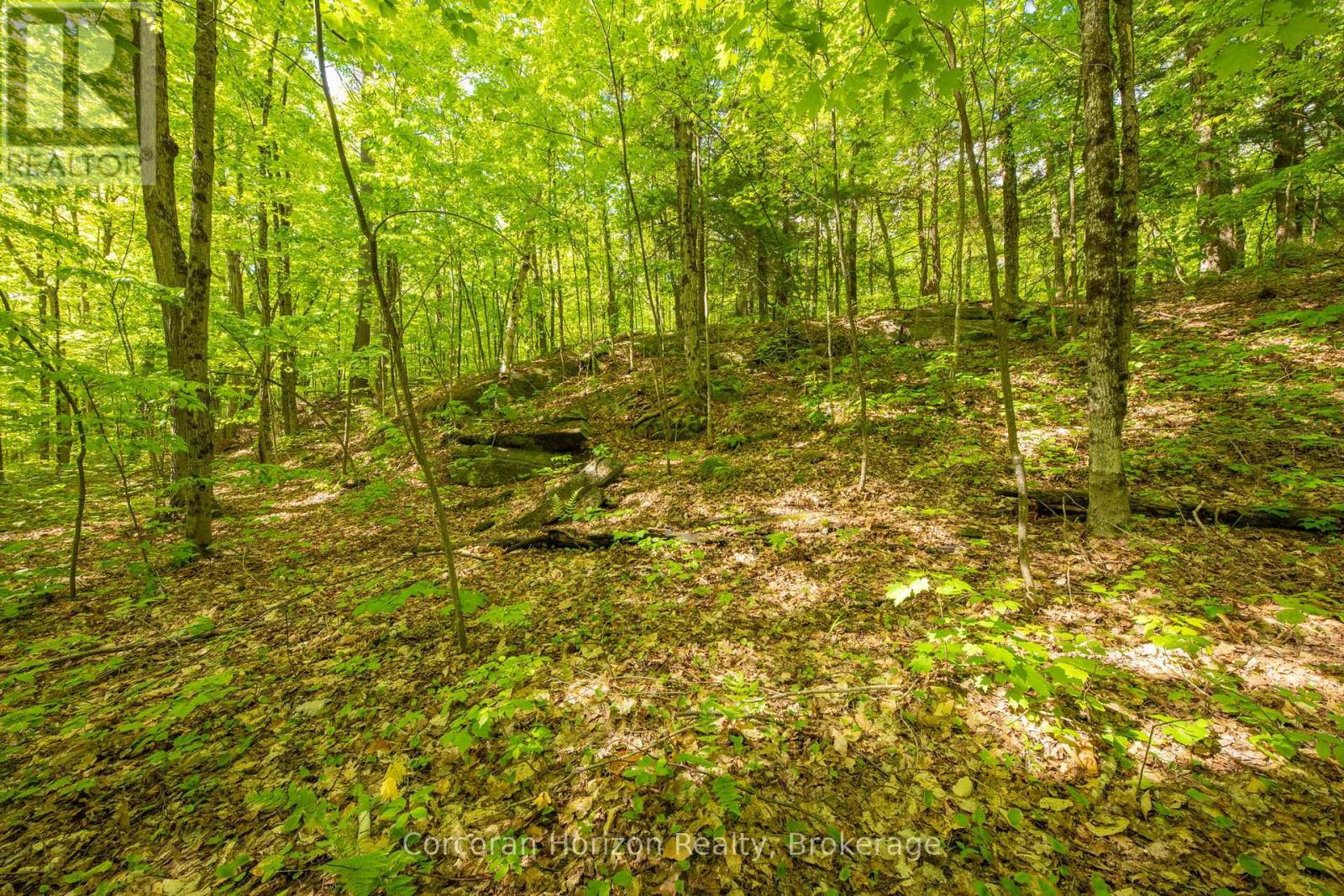 1020 Ridge Road, Muskoka Lakes, Ontario  P0C 1M0 - Photo 37 - X13761338