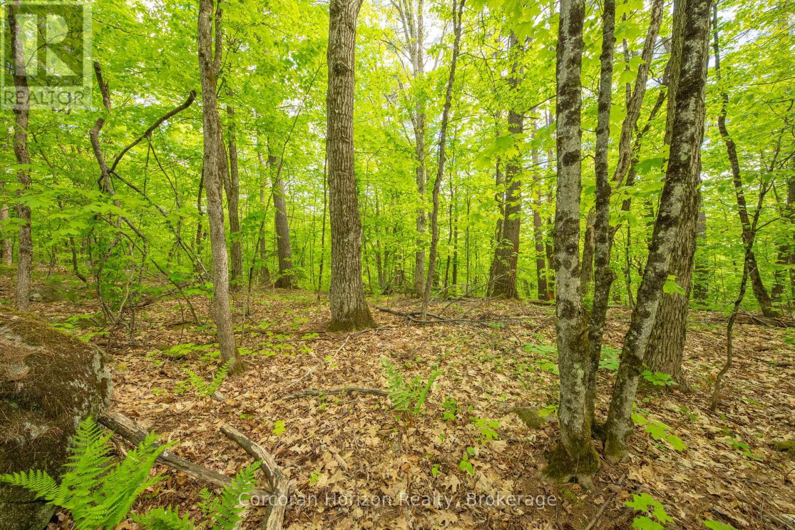 1020 Ridge Road, Muskoka Lakes, Ontario  P0C 1M0 - Photo 39 - X13761338