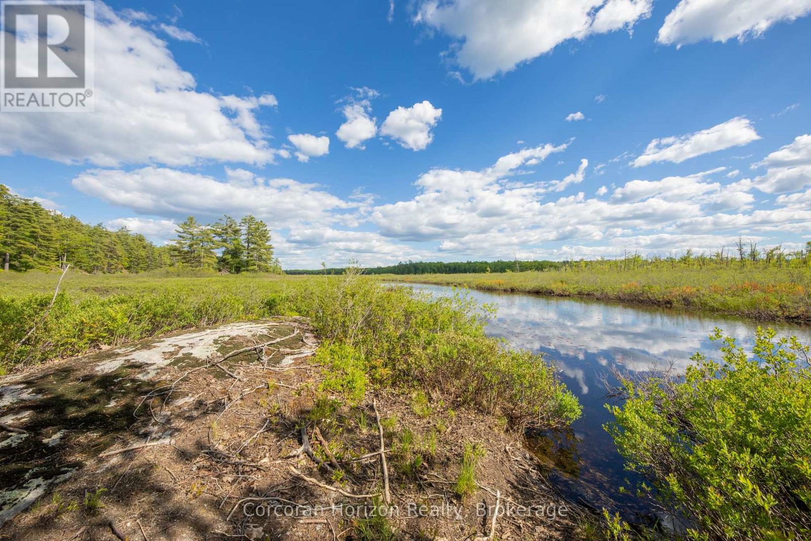 1020 Ridge Road, Muskoka Lakes, Ontario  P0C 1M0 - Photo 5 - X13761338