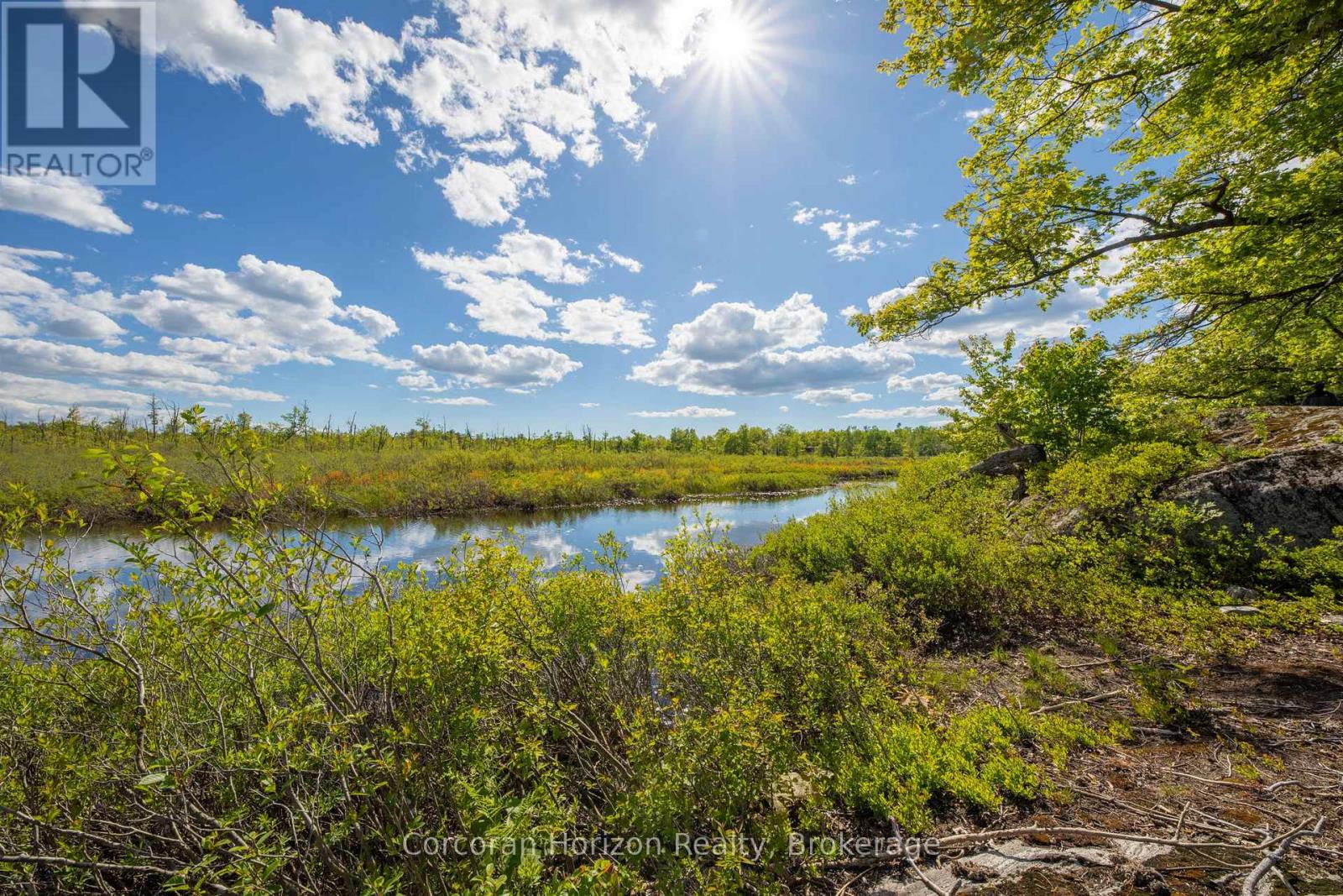1020 Ridge Road, Muskoka Lakes, Ontario  P0C 1M0 - Photo 6 - X13761338