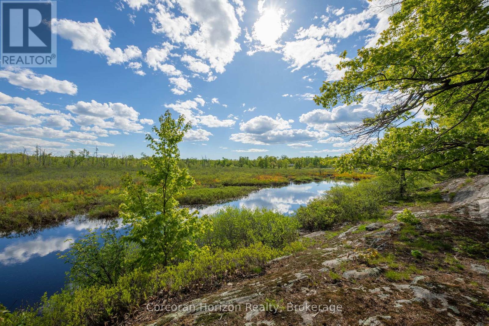 1020 Ridge Road, Muskoka Lakes, Ontario  P0C 1M0 - Photo 7 - X13761338