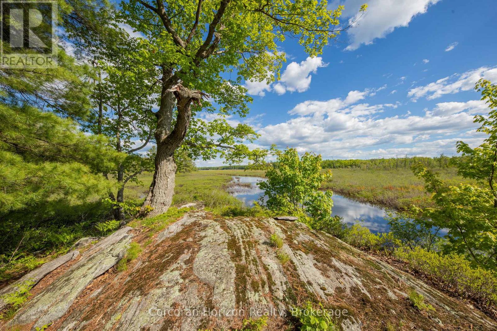 1020 Ridge Road, Muskoka Lakes, Ontario  P0C 1M0 - Photo 8 - X13761338