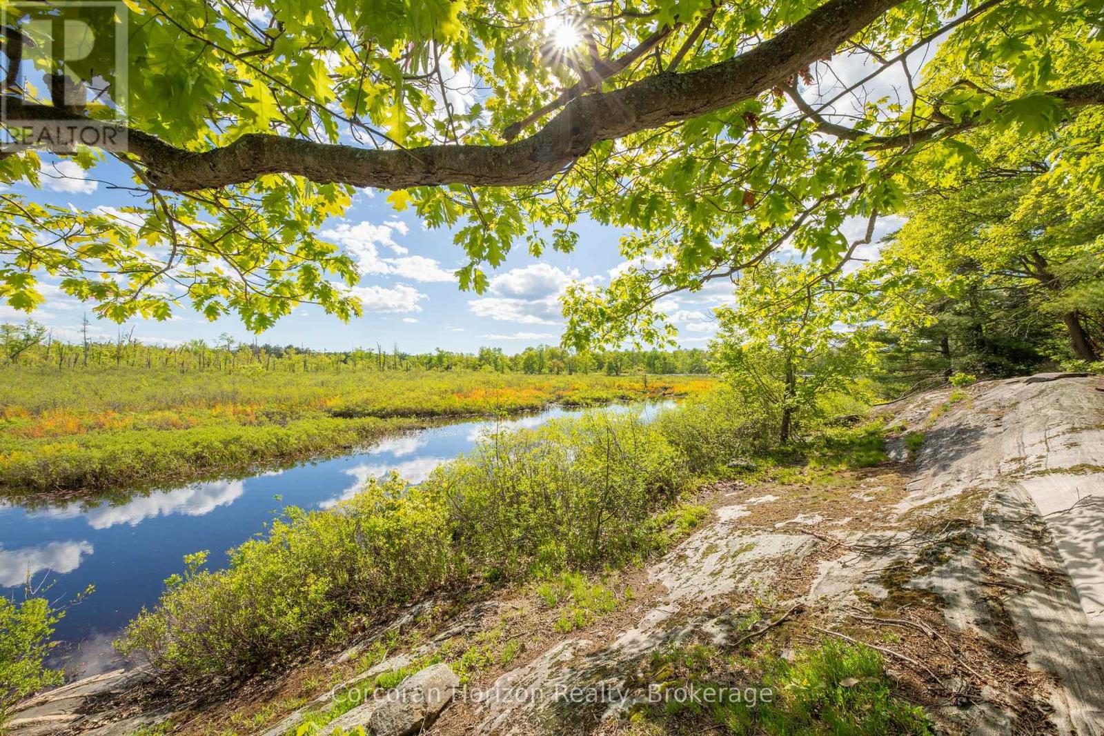 1020 Ridge Road, Muskoka Lakes, Ontario  P0C 1M0 - Photo 9 - X13761338