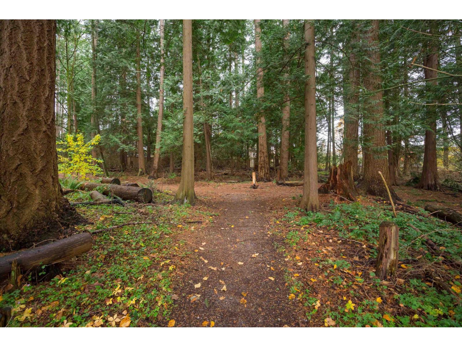 115 2533 152 Street, Surrey, British Columbia  V4P 1N4 - Photo 40 - R3162236