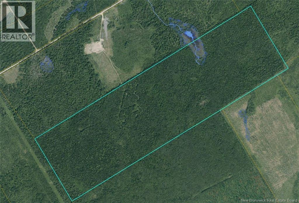 Woodlot 8 Route 126, Adamsville, New Brunswick