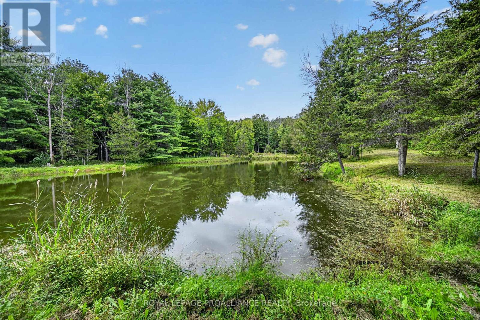 100 Coons Road, Rideau Lakes, Ontario  K0G 1E0 - Photo 45 - X13761752