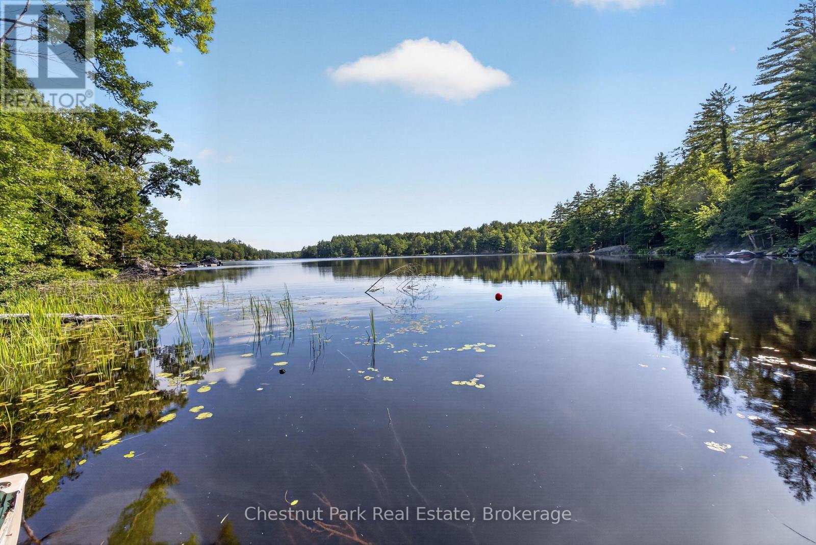 1627 Houseys Rapids Road, Gravenhurst, Ontario  P1P 1R3 - Photo 14 - X13762108