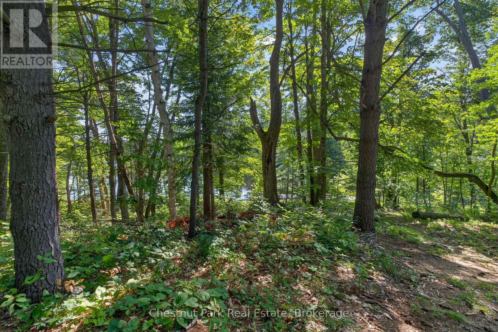 1627 Houseys Rapids Road, Gravenhurst, Ontario  P1P 1R3 - Photo 17 - X13762108