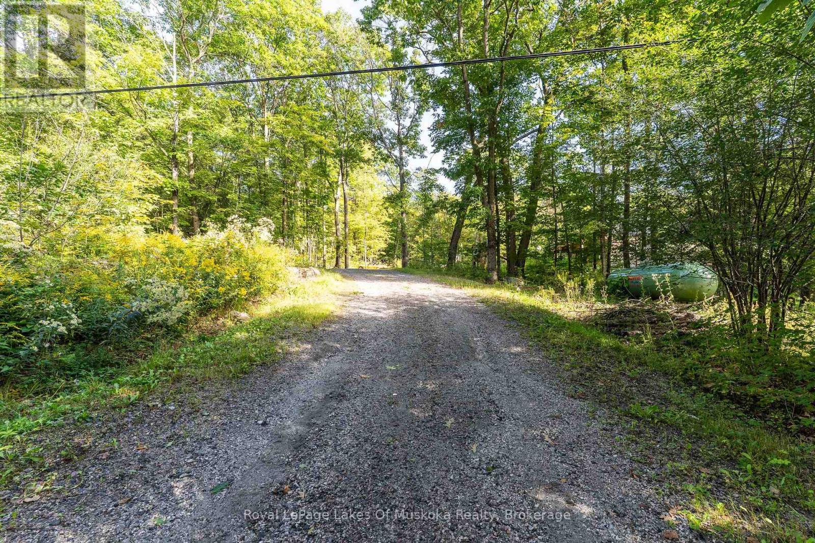 1029 Whiteside Road, Muskoka Lakes, Ontario  P0B 1J0 - Photo 32 - X13762442