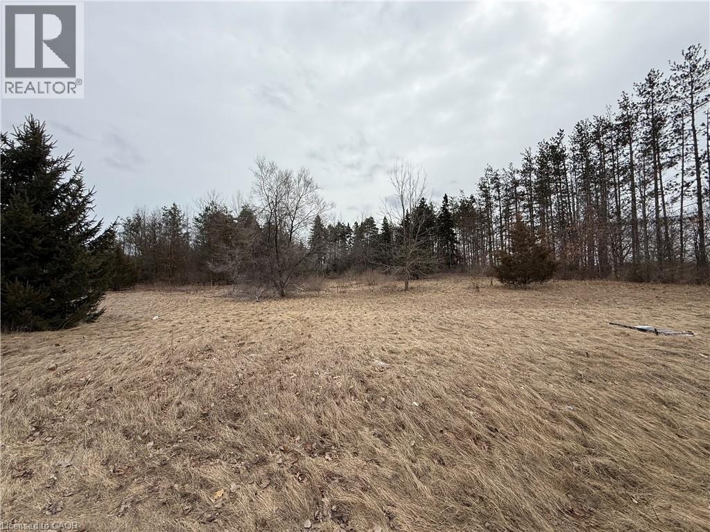 580 Queensway W, Simcoe, Ontario  N3Y 4J9 - Photo 3 - 40861500