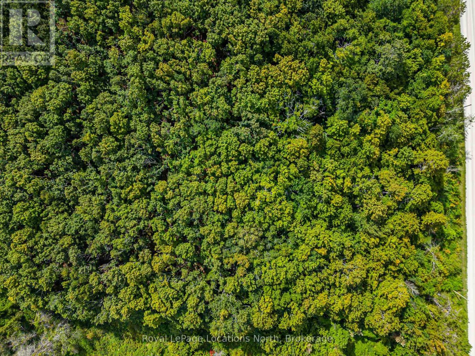 Lot 15 3rd Line E, Blue Mountains, Ontario  N0H 2E0 - Photo 4 - X13726160