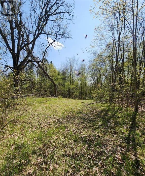 0 Burke Settlement Road, Frontenac, Ontario  K0H 2P0 - Photo 3 - X13762884