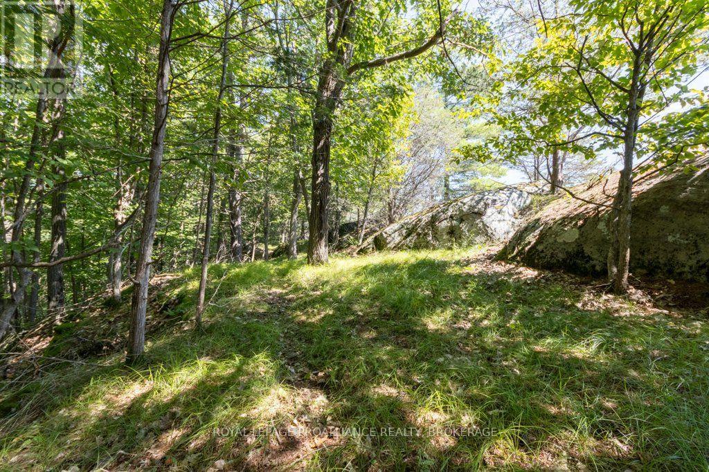 353 Frye Lane, Frontenac, Ontario  K0H 2L0 - Photo 40 - X13762928