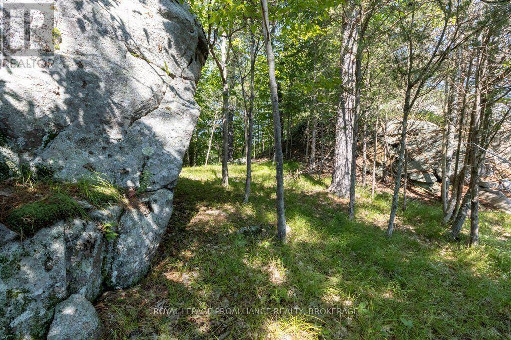 353 Frye Lane, Frontenac, Ontario  K0H 2L0 - Photo 41 - X13762928