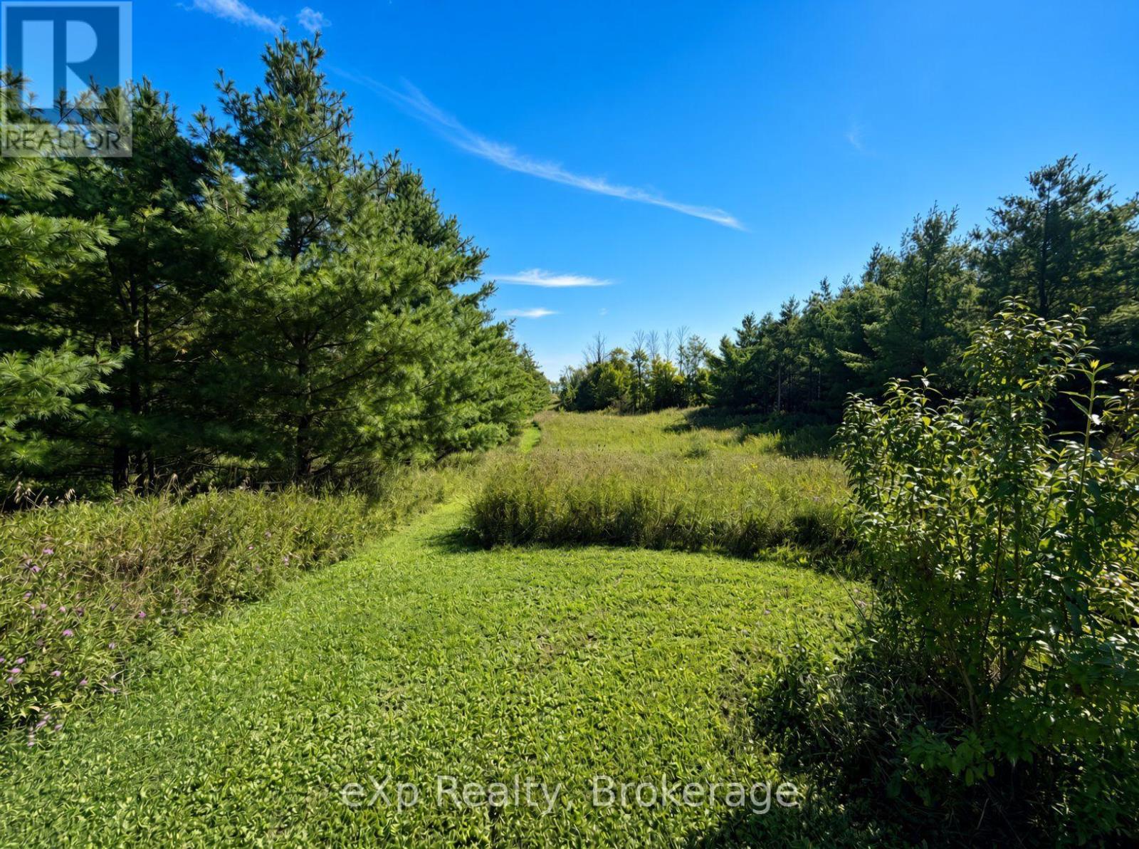 1348 Bruce Road 11, Arran-Elderslie, Ontario  N0G 2N0 - Photo 35 - X13728006