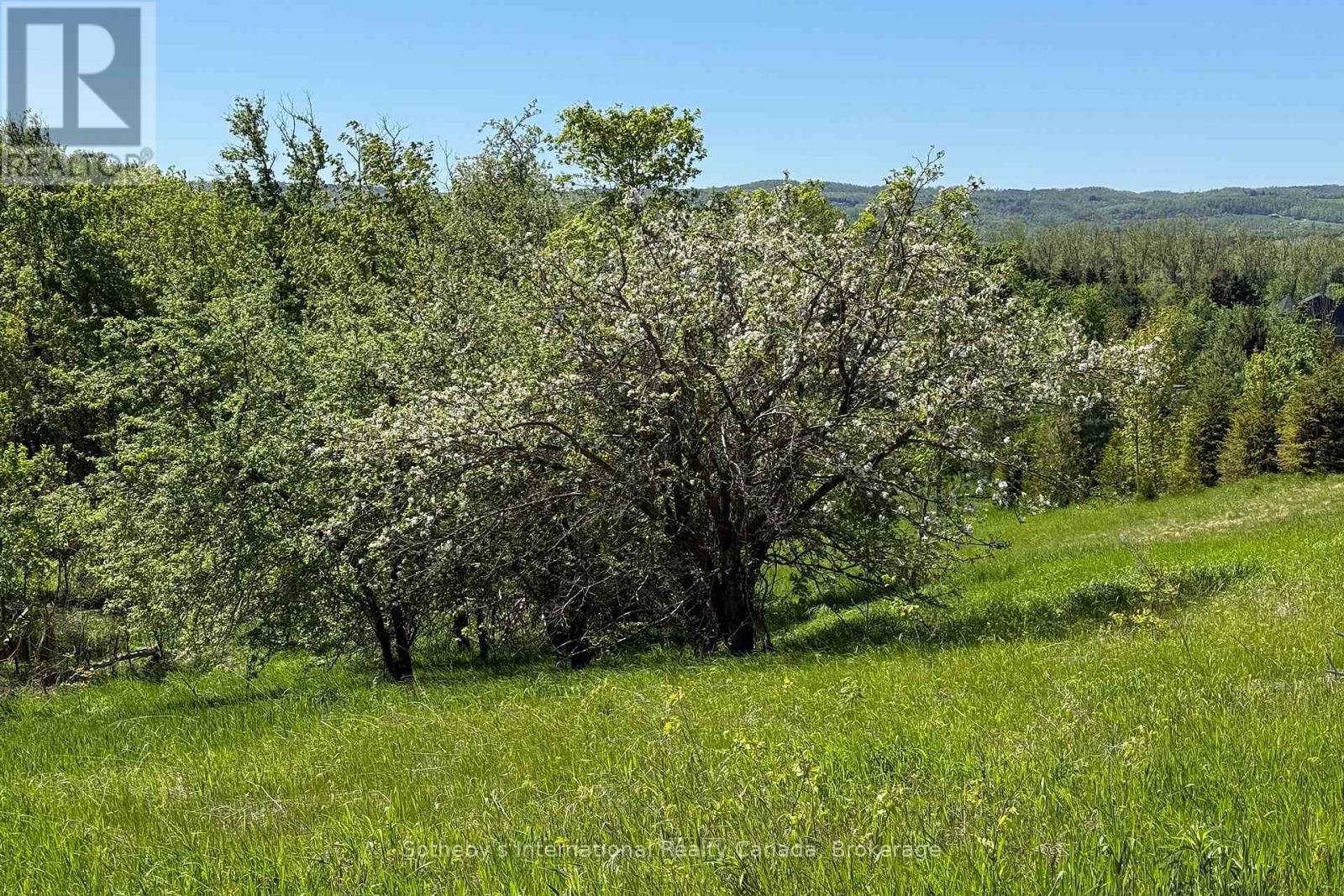 958465 7 Line E, Mulmur, Ontario  L9V 0M9 - Photo 11 - X13741652
