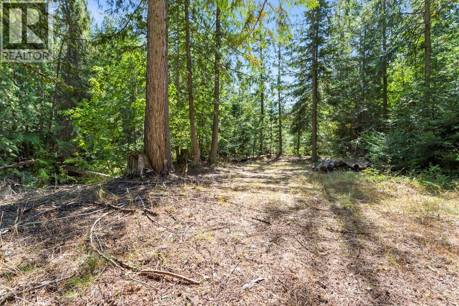 1802 Lakeview Arrow Creek Road, Arrow Creek, British Columbia V0B 1G9 - Photo 29 - 10399866