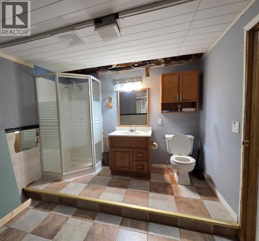 118 3rd Avenue E, Rockyford, Alberta  T0J 2R0 - Photo 27 - A2335864